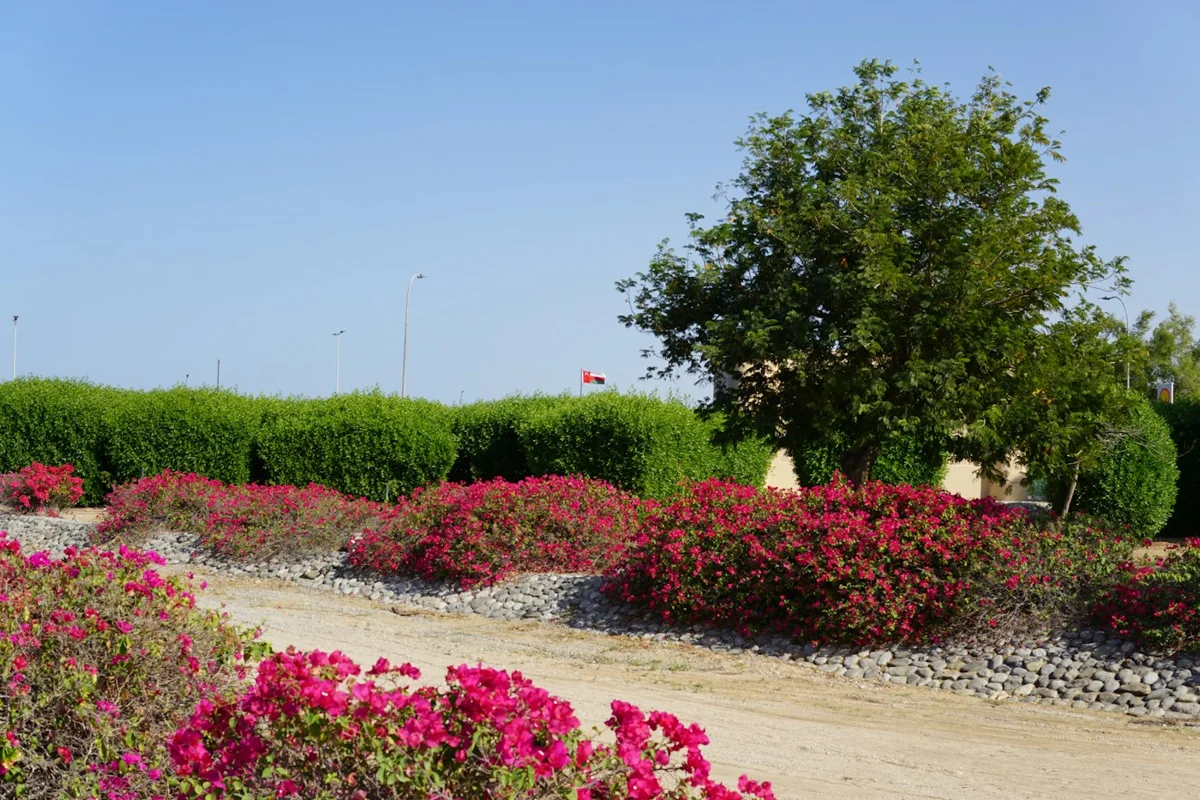 Seeb landscape